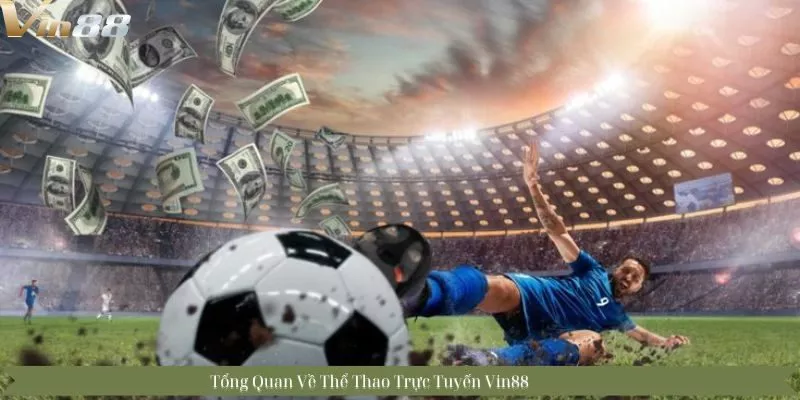 Tổng Quan Về Thể Thao Trực Tuyến Vin88